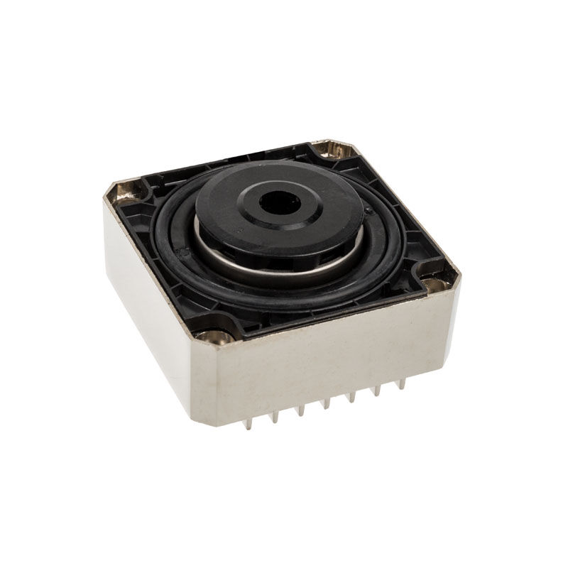 Alphacools Laing DDC310 Pump, Single Edition - Silver