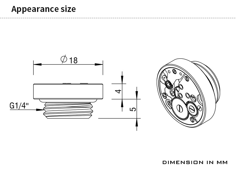 Barrow G1/4 Time Edition Blank Plug - Gold : image 2