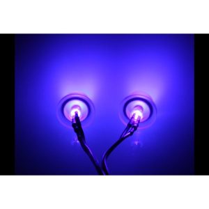 LEDready Twin 3mm Ultra-Bright UV