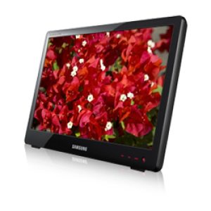 Samsung LD190G 19 Wide Screen Monitor Lapfit TFT (LS19LFUGF) - USB