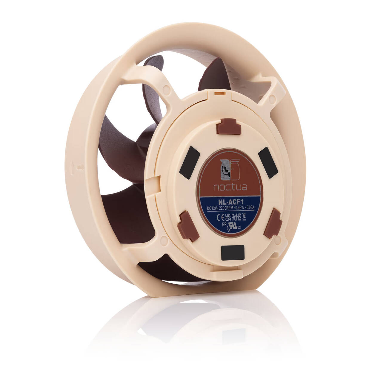 Noctua NL-ACF1 AiO Additional Fan - 80mm, brown/white : image 3