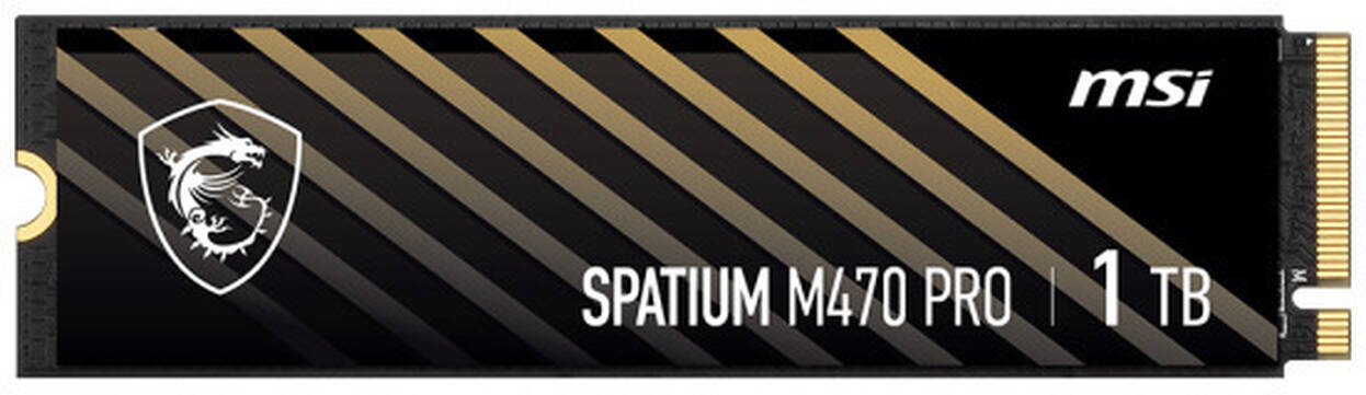 MSI SPATIUM M470 PRO SSD, PCIe 4.0 M.2 Typ 2280 - 1 TB : image 2