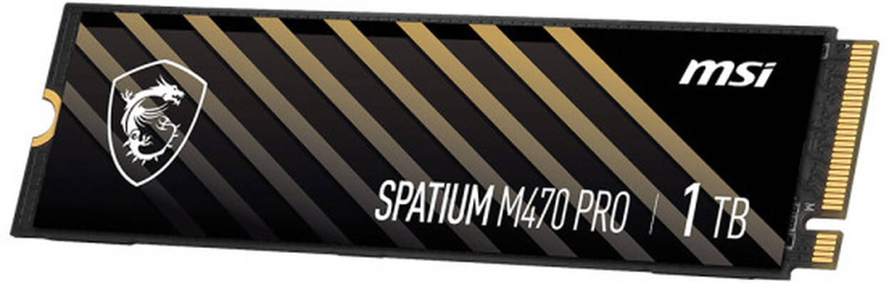 MSI SPATIUM M470 PRO SSD, PCIe 4.0 M.2 Typ 2280 - 1 TB : image 3