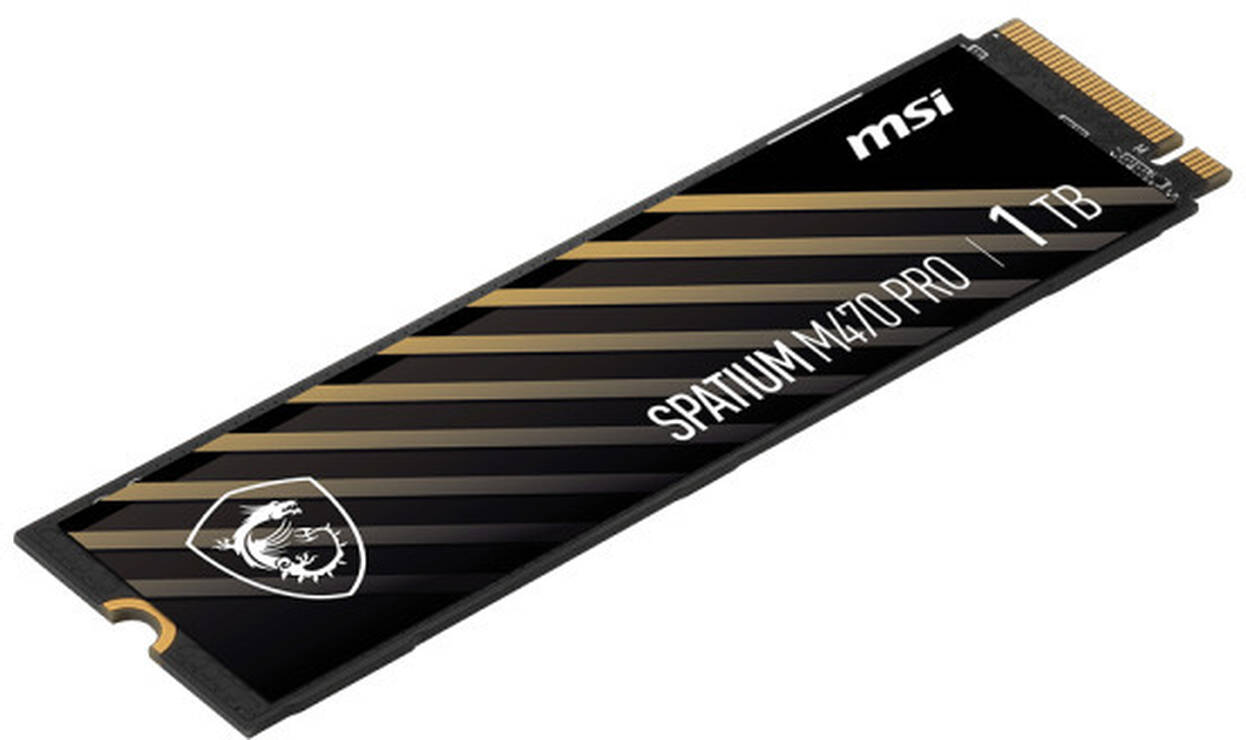 MSI SPATIUM M470 PRO SSD, PCIe 4.0 M.2 Typ 2280 - 1 TB : image 4