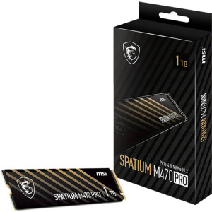 MSI SPATIUM M470 PRO SSD, PCIe 4.0 M.2 Typ 2280 - 1 TB : image 1