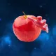 The Apple Connoisseur